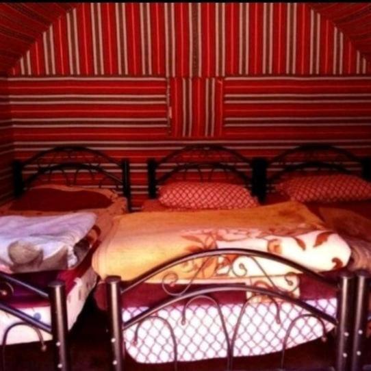 מלון וואדי רם Bedouin Family Camp מראה חיצוני תמונה